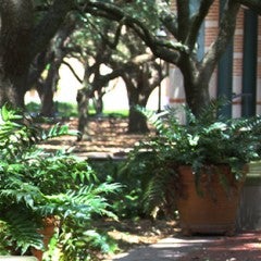 Medical Humanities: Q and A with Kirsten Ostherr